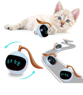 bola-interativa-para-gatos