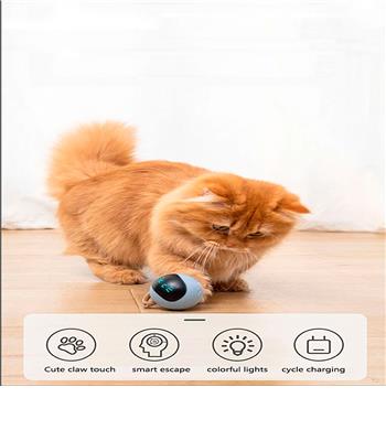 bola-interativa-para-gatos