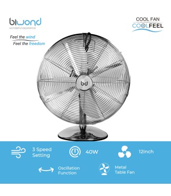 Biwond Ventoinha BW0085 - 3 Velocidades 40W (12")