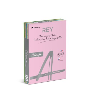 Resma Papel 5 Cores Suaves A4 080gr 5x100 Folhas